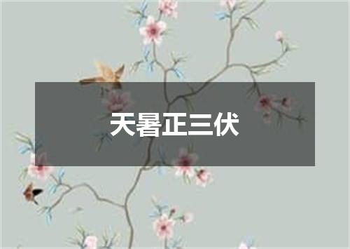 天暑正三伏