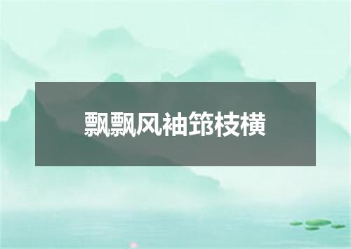 飘飘风袖筇枝横