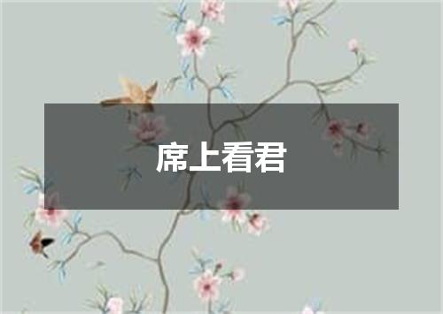 席上看君
