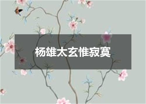 杨雄太玄惟寂寞