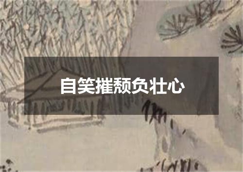 自笑摧颓负壮心
