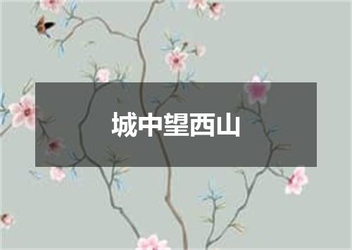 城中望西山