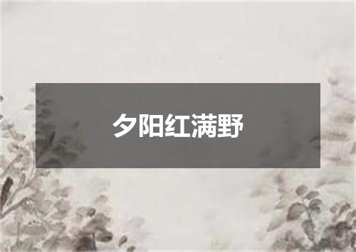 夕阳红满野