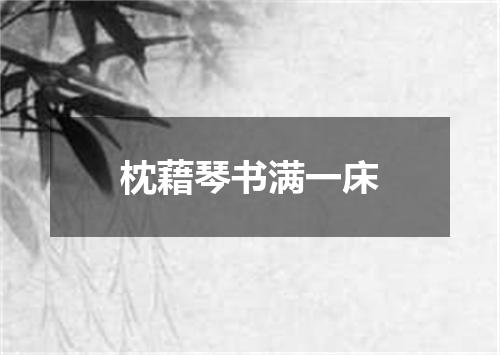 枕藉琴书满一床