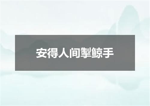 安得人间掣鲸手