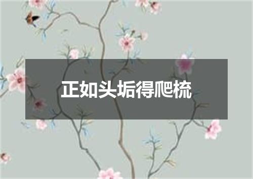正如头垢得爬梳