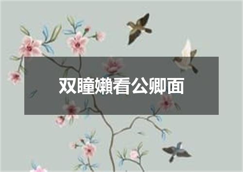 双瞳嬾看公卿面