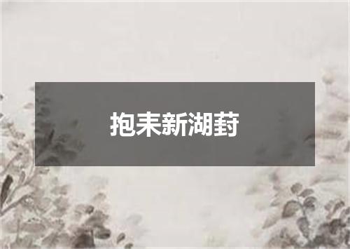 抱耒新湖葑