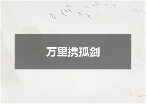 万里携孤剑
