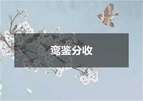 鸾鉴分收