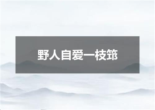 野人自爱一枝筇