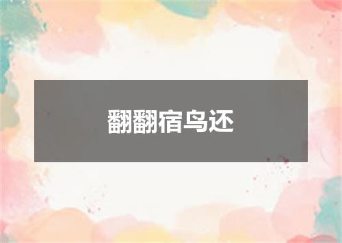 翻翻宿鸟还