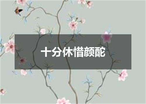十分休惜颜酡