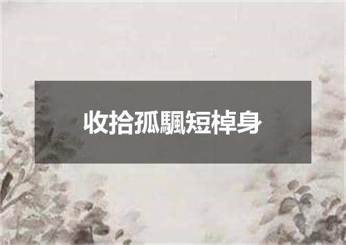 收拾孤颿短棹身