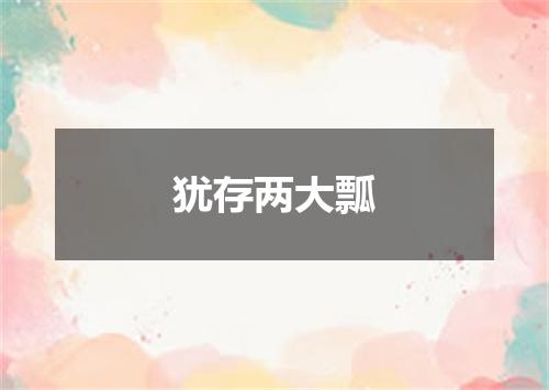 犹存两大瓢