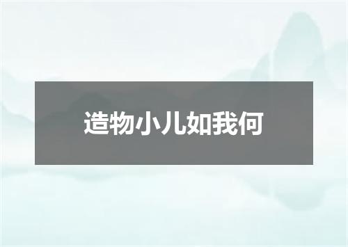 造物小儿如我何