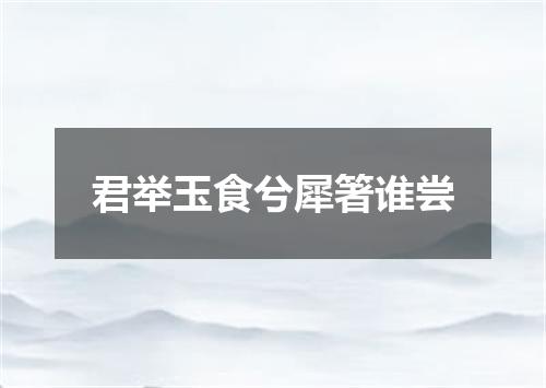 君举玉食兮犀箸谁尝
