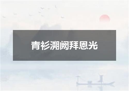 青衫溯阙拜恩光