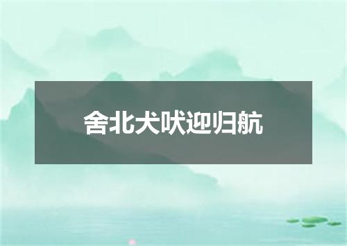 舍北犬吠迎归航