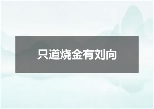 只道烧金有刘向