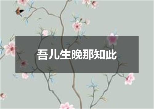 吾儿生晚那知此