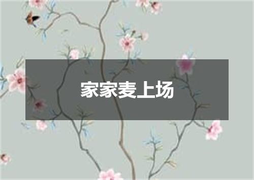 家家麦上场