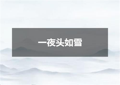 一夜头如雪
