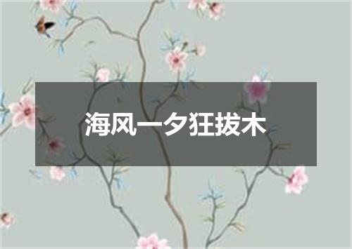 海风一夕狂拔木