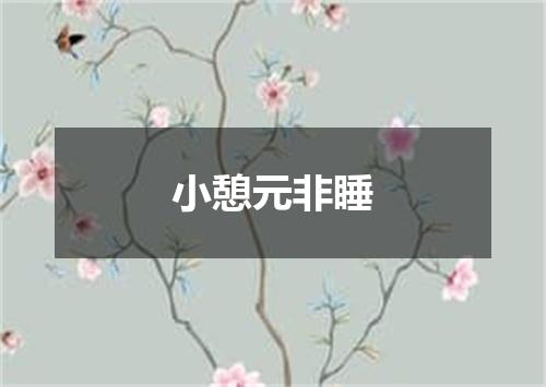 小憩元非睡