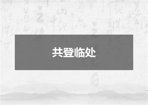 共登临处
