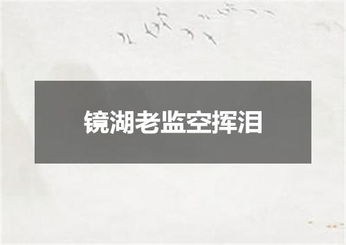 镜湖老监空挥泪