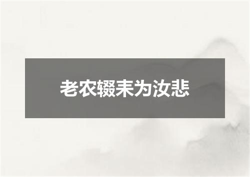 老农辍耒为汝悲