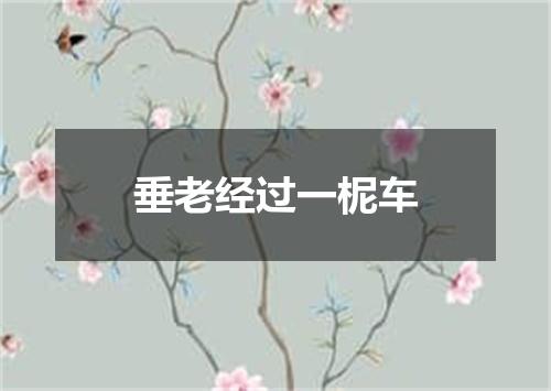 垂老经过一柅车