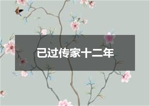已过传家十二年