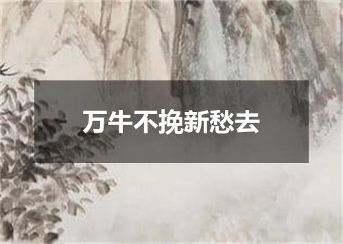 万牛不挽新愁去