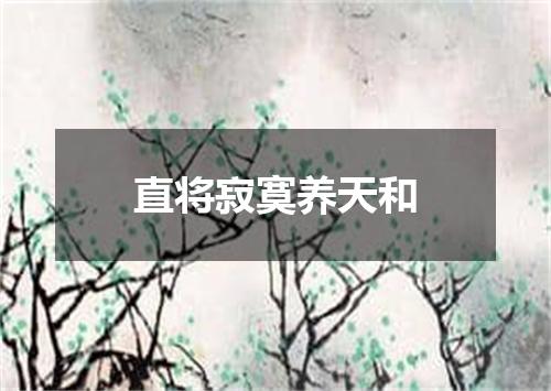 直将寂寞养天和