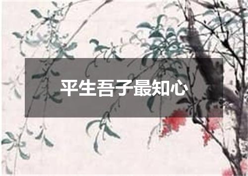 平生吾子最知心