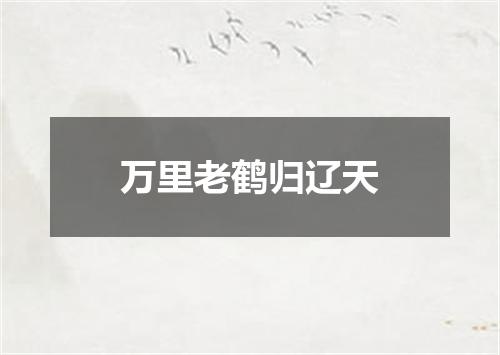 万里老鹤归辽天