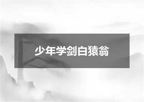 少年学剑白猿翁