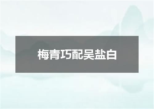 梅青巧配吴盐白