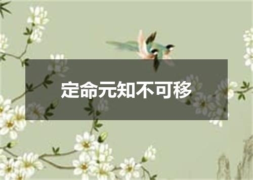 定命元知不可移