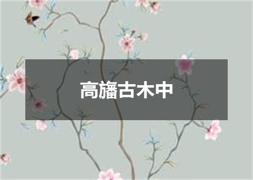 高旛古木中