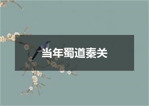当年蜀道秦关