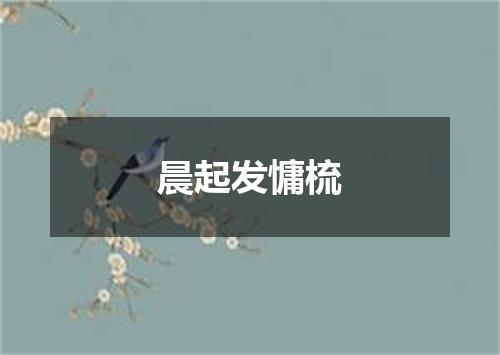 晨起发慵梳