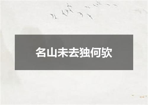 名山未去独何欤