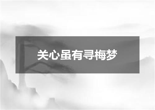 关心虽有寻梅梦