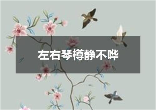 左右琴樽静不哗