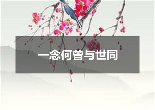 一念何曾与世同