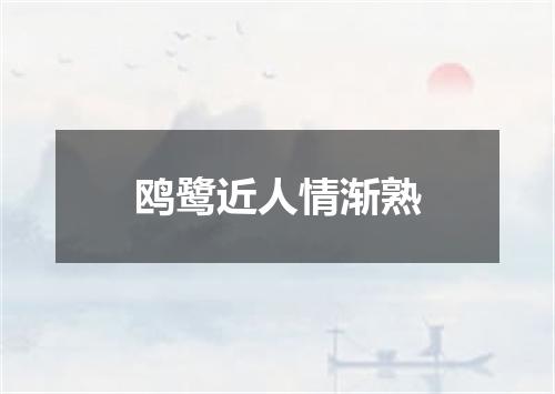 鸥鹭近人情渐熟