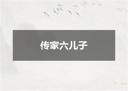 传家六儿子
